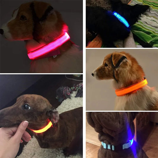 LED Glowing Dog Collars™ light up dog collar - OmniStock